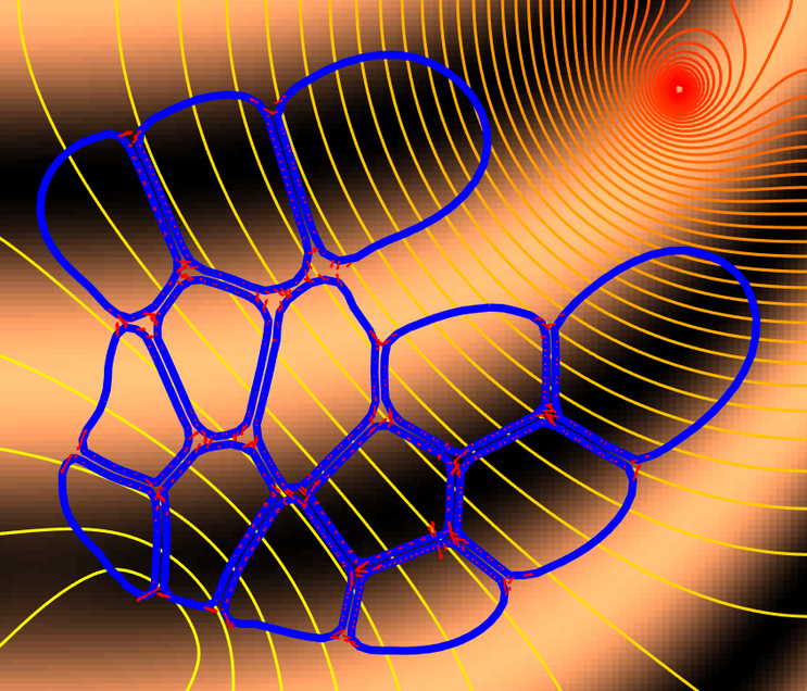 Snapshot from a simulation of a cluster of 14 cells described by the FBLM, incorporating the effects of a chemotactic signal.
                    From the paper: N. Sfakianakis, D. Peurichard, A. Brunk, C. Schmeiser, Modelling cell-cell collision and adhesion with the Filament Based Lamellipodium Model, Biomath 7 (2018), Article ID: 1811097.